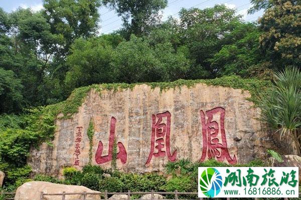 2020深圳凤凰山森林公园开放时间及入园须知