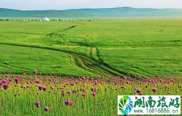 呼伦贝尔大草原旅游经典路线 呼伦贝尔大草原旅游经典路线