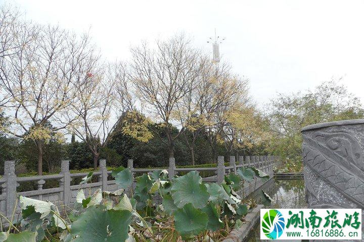 白马寺门票多少钱2022+优惠政策