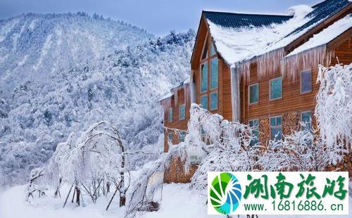 2022西岭雪山门票价格+优惠政策学生票 2022西岭雪山门票价格+优惠政策学生票