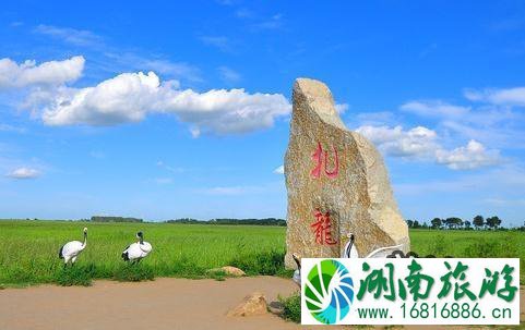 扎龙自然保护区作文800字 扎龙自然保护区作文800字