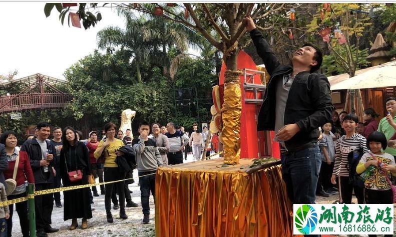 景区摇钱树被摇断 是哪个景区 景区名字叫什么 景区摇钱树被摇断 是哪个景区 景区名字叫什么