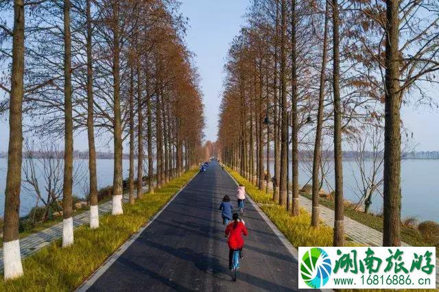 2022东湖绿道大学生马拉松比赛报名+成绩查询地址 2022东湖绿道大学生马拉松比赛报名+成绩查询地址