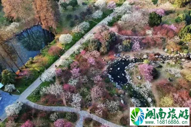 2022东湖绿道大学生马拉松比赛报名+成绩查询地址 2022东湖绿道大学生马拉松比赛报名+成绩查询地址