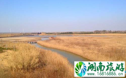 2022东滩湿地公园门票价格+优惠政策+注意事项 2022东滩湿地公园门票价格+优惠政策+注意事项