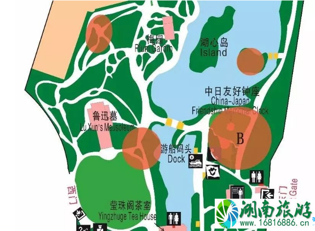 2022鲁迅公园樱花展时间+地点 2022鲁迅公园樱花展时间+地点