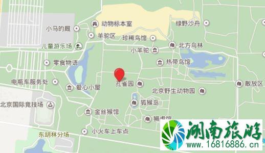 2022大兴野生动物园停车场怎么收费+位置 2022大兴野生动物园停车场怎么收费+位置