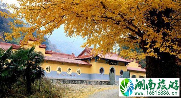 大洪山风景名胜区地图 大洪山风景区导览图 大洪山风景名胜区地图 大洪山风景区导览图