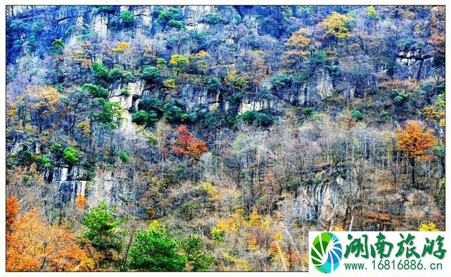 大洪山风景名胜区地图 大洪山风景区导览图 大洪山风景名胜区地图 大洪山风景区导览图