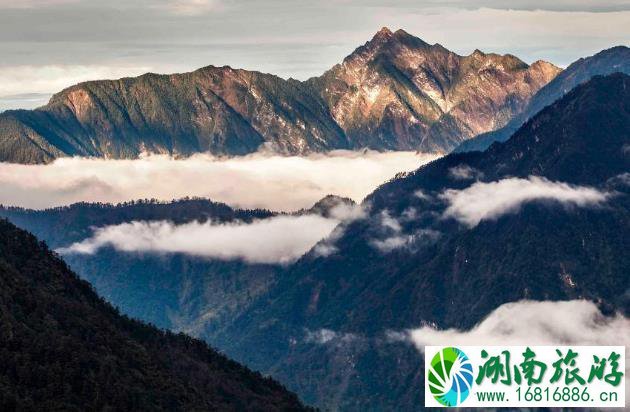 西岭雪山门票多少钱2022+优惠政策+注意事项 西岭雪山门票多少钱2022+优惠政策+注意事项