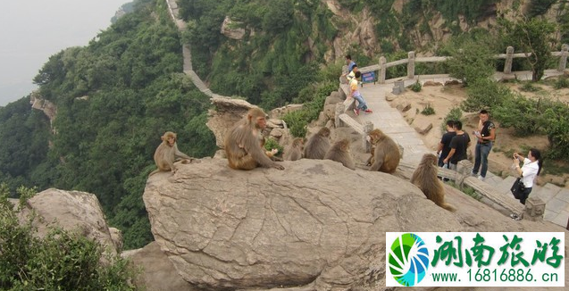 国内有哪些坑爹的旅游景点 国内有哪些坑爹的旅游景点