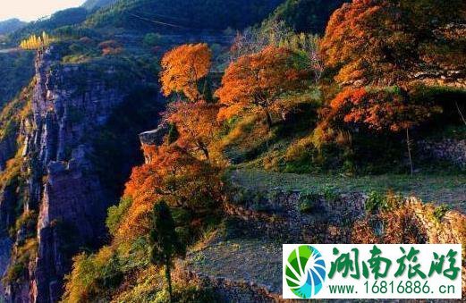 罗姐寨门票 罗姐寨景区门票价格 罗姐寨要门票吗 罗姐寨门票 罗姐寨景区门票价格 罗姐寨要门票吗