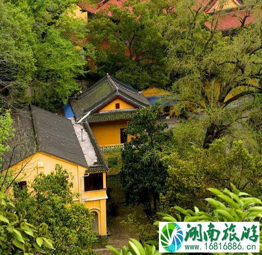 新昌鼓山书院在哪里 新昌鼓山书院好玩吗 新昌鼓山书院在哪里 新昌鼓山书院好玩吗