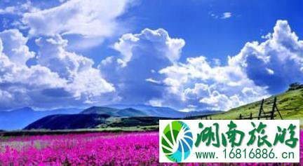 六月份去哪里旅游最合适 六月份去哪里旅游最合适