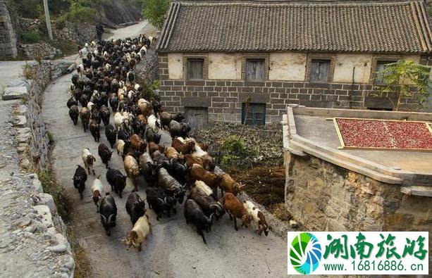 王家灿村旅游攻略 王家灿村在哪里 王家灿村旅游攻略 王家灿村在哪里