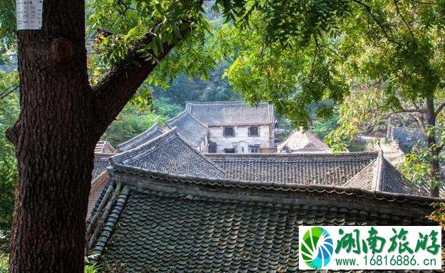王家灿村旅游攻略 王家灿村在哪里 王家灿村旅游攻略 王家灿村在哪里
