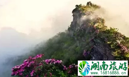 2022中国旅游日巴中哪些景区有门票优惠 2022中国旅游日巴中哪些景区有门票优惠