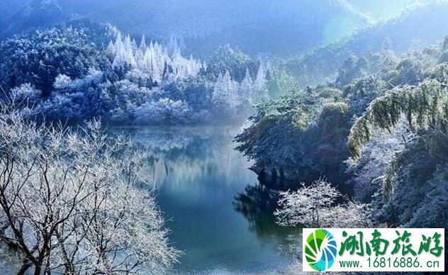 黄柏山门票多少钱+优惠政策 黄柏山国家森林公园门票2022 黄柏山门票多少钱+优惠政策 黄柏山国家森林公园门票2022