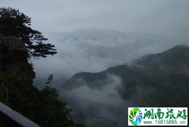 黄柏山门票多少钱+优惠政策 黄柏山国家森林公园门票2022 黄柏山门票多少钱+优惠政策 黄柏山国家森林公园门票2022