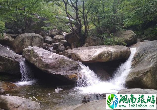 黄柏山门票多少钱+优惠政策 黄柏山国家森林公园门票2022 黄柏山门票多少钱+优惠政策 黄柏山国家森林公园门票2022
