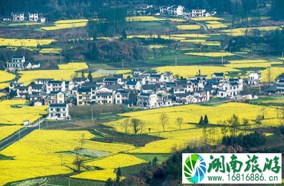 中国十大乡村旅游目的地名单 中国十大乡村旅游目的地名单