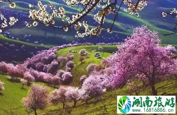 中国最美的30个旅行目的地名单大全2022 中国最美的30个旅行目的地名单大全2022