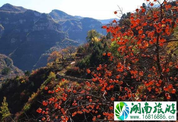 平顺旅游攻略 平顺旅游有几个地方 平顺旅游攻略 平顺旅游有几个地方