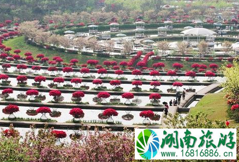 2022中国旅游日新津花舞人间门票价格+优惠信息 2022中国旅游日新津花舞人间门票价格+优惠信息
