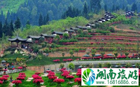 2022中国旅游日新津花舞人间门票价格+优惠信息 2022中国旅游日新津花舞人间门票价格+优惠信息