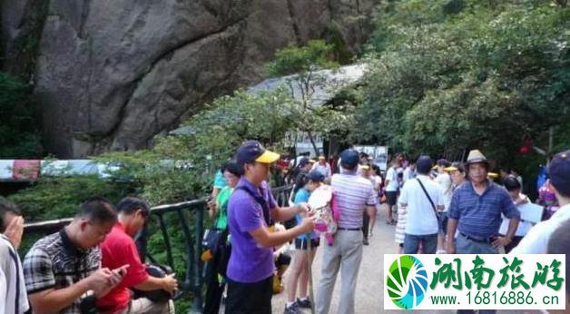 三清山最佳旅游时间 三清山旅游什么时候最好 三清山最佳旅游时间 三清山旅游什么时候最好