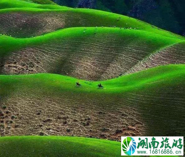 6月最适合自驾旅游的地方有哪些 6月最适合自驾旅游的地方有哪些