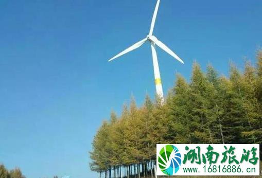 张家口张北草原和坝上草原哪个更好玩 张家口张北草原和坝上草原哪个更好玩