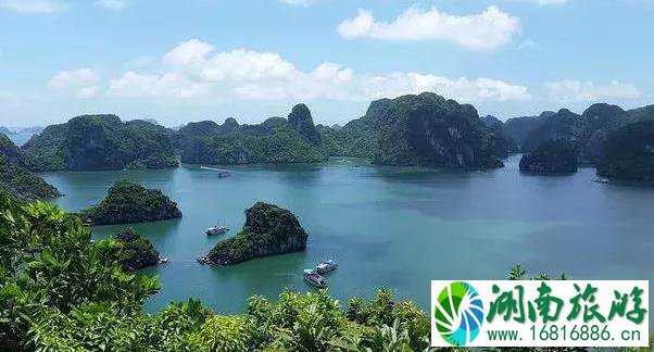 2022年6月旅游有哪些新的变化 2022年6月旅游有哪些新的变化