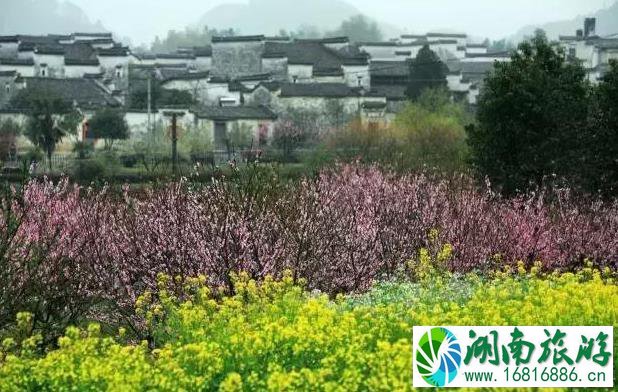 国内适合小住几天的地方推荐 国内适合小住几天的地方推荐