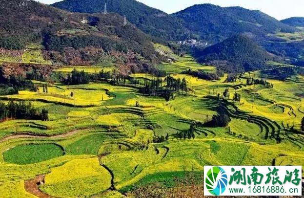 国内适合小住几天的地方推荐 国内适合小住几天的地方推荐