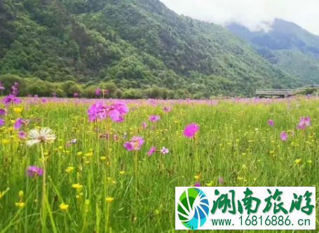 2022四姑娘山景区端午朝山会门票价格 2022四姑娘山景区端午朝山会门票价格