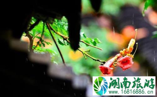 梅雨季节是什么时候 梅雨季节是什么时间 梅雨季节是什么时候 梅雨季节是什么时间