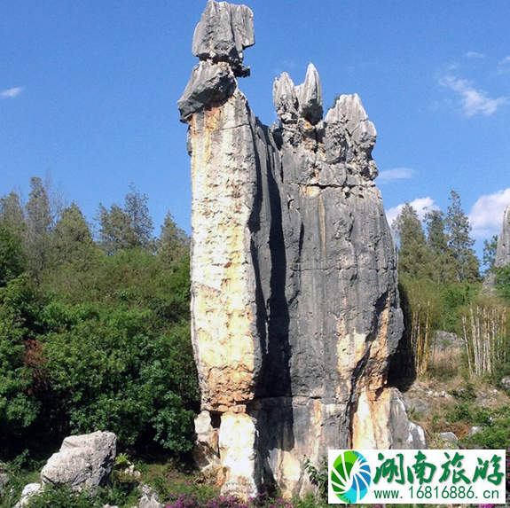 石林风景区怎么坐车 2022石林风景区游玩攻略 石林风景区怎么坐车 2022石林风景区游玩攻略