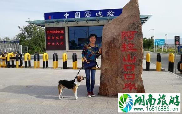 一个人长途自驾游注意事项 一个人长途自驾游注意事项