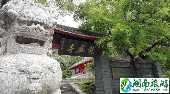 龙潭山遗址公园怎么样+开放时间+门票信息 龙潭山遗址公园怎么样+开放时间+门票信息