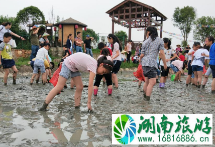 2022端午节宁乡稻花香里有什么活动 2022端午节宁乡稻花香里有什么活动