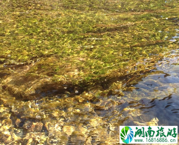 延庆后河怎么走 延庆后河怎么走
