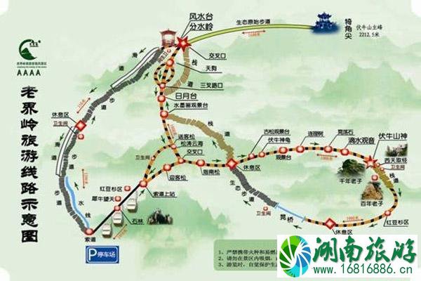 西峡恐龙遗迹园线路图 西峡恐龙遗迹园好玩吗 西峡恐龙遗迹园线路图 西峡恐龙遗迹园好玩吗
