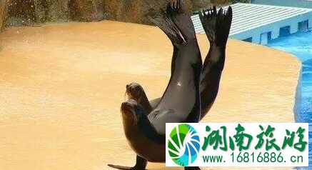 齐河周末哪里好玩的地方 齐河周末哪里好玩的地方
