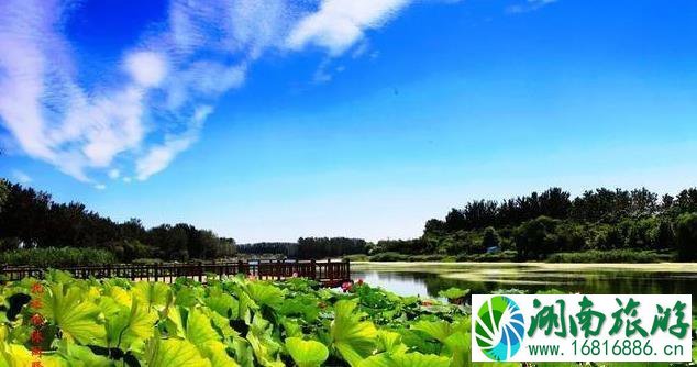 天津周边旅游景点大全 天津周边有哪些好玩的地方 天津周边旅游景点大全 天津周边有哪些好玩的地方