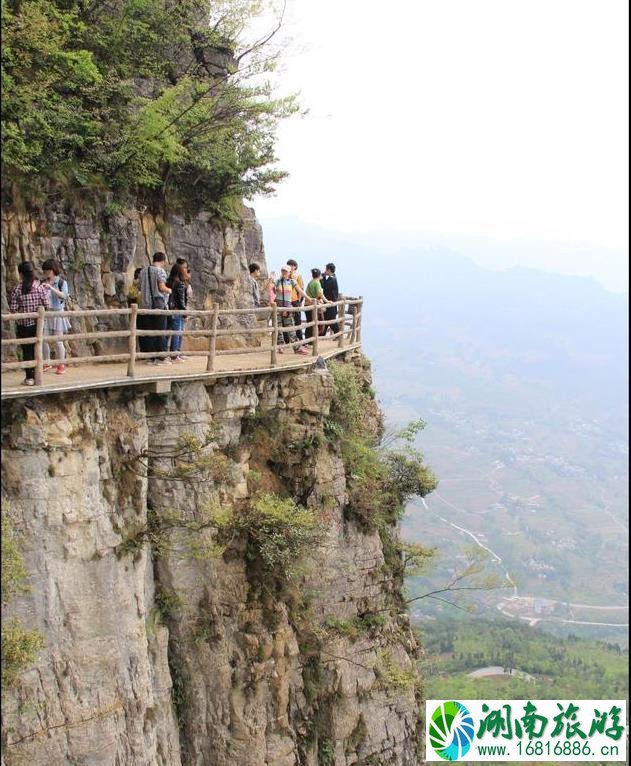 恩施七月旅游详细攻略和路线 恩施七月旅游详细攻略和路线