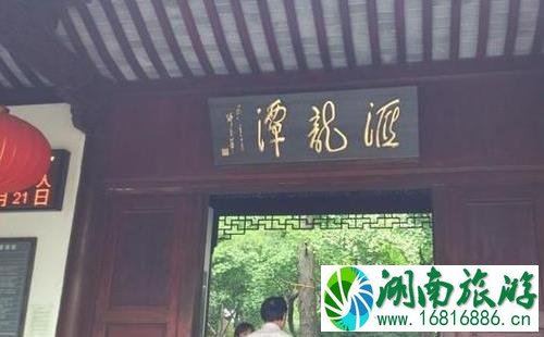 嘉定半日游最佳景点和攻略 嘉定半日游最佳景点和攻略