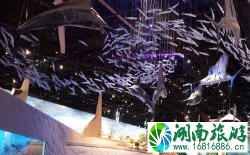 贝林大河生命馆什么时候开馆 贝林大河生命馆什么时候开馆
