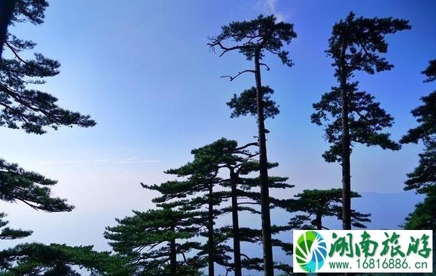 大别山在哪里哪个省的 大别山有什么好玩的 大别山在哪里哪个省的 大别山有什么好玩的