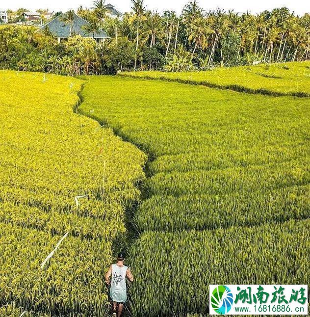 波西米亚冲浪小镇长谷旅游指南 波西米亚冲浪小镇长谷旅游指南